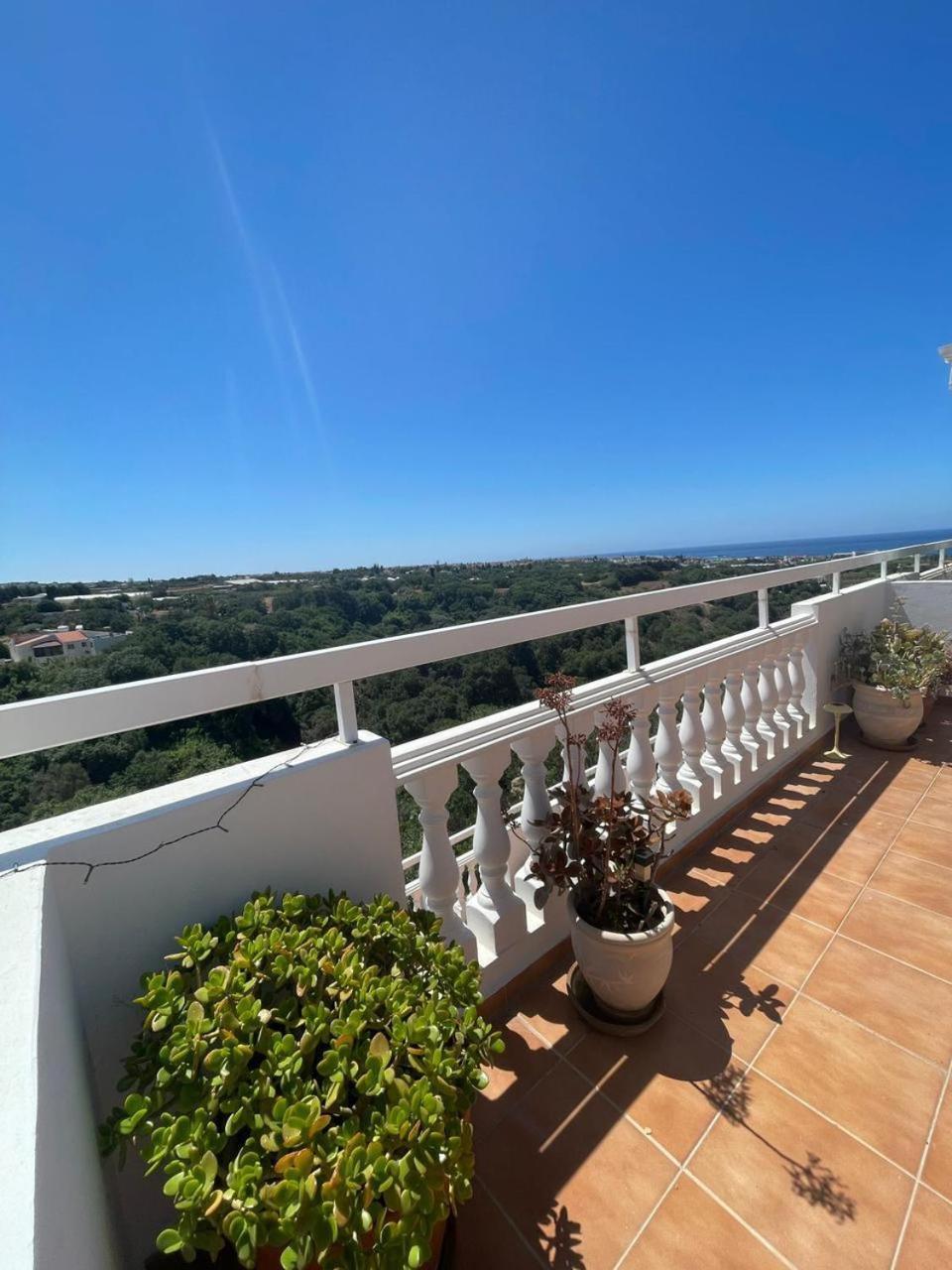 Golden Sunset Apartment Kissonerga Exterior photo